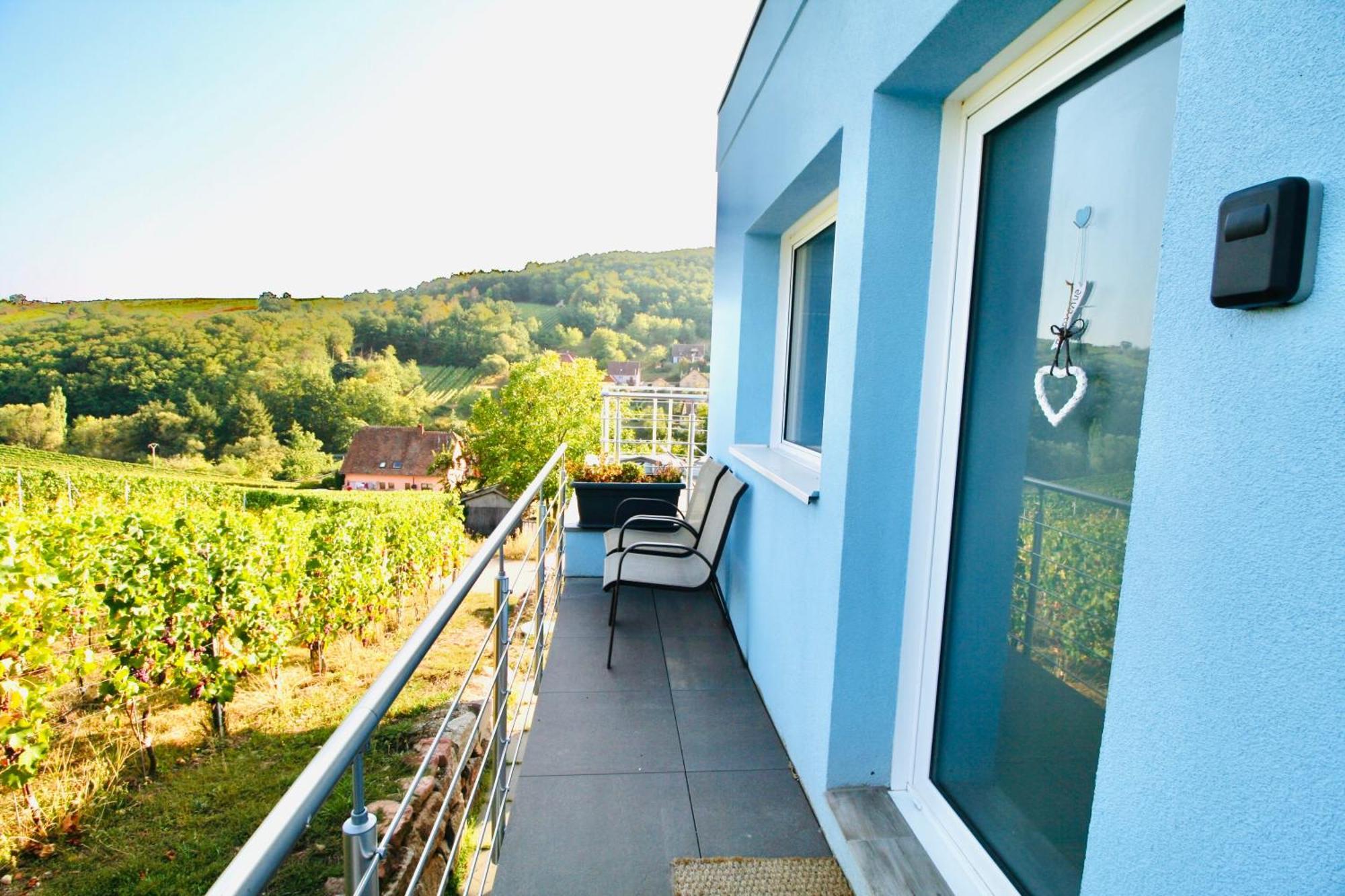 Апартаменти Janea Big Blue House Reichsfeld Екстер'єр фото